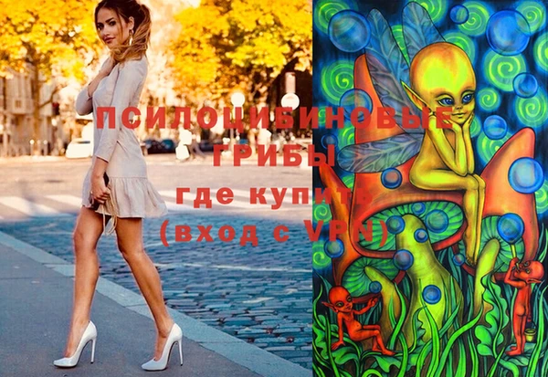 первитин Кинешма