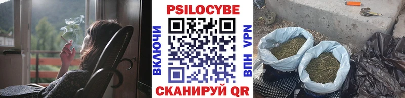 Псилоцибиновые грибы Cubensis  где можно купить   mega как войти  Туапсе 