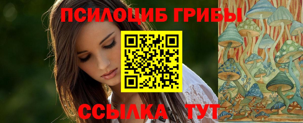 Псилоцибиновые грибы GOLDEN TEACHER Туапсе