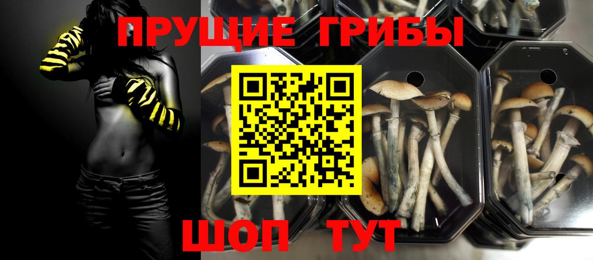 Туапсе  Галлюциногенные грибы Psilocybe  Вход с VPN  Галлюциногенные грибы Magic Shrooms 